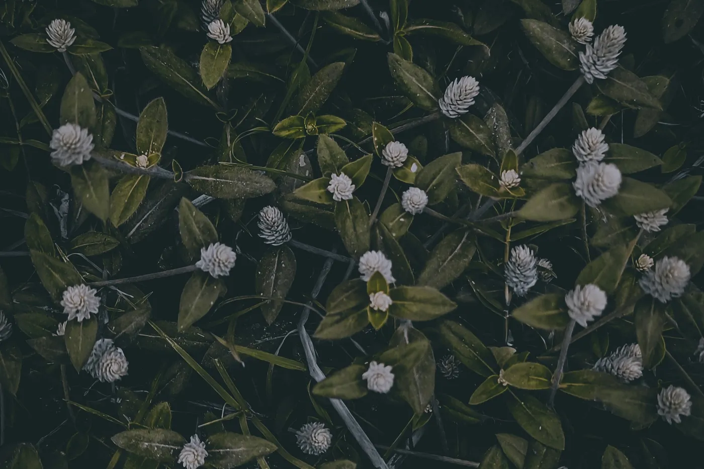 Photo by Sourav Kundu